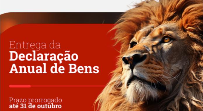 DECLARAÇÃO DE BENS