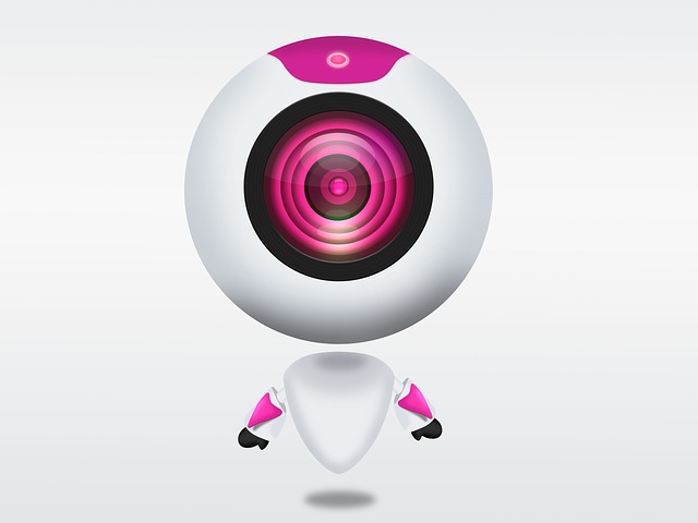 ESPIONADOS PELA WEBCAM